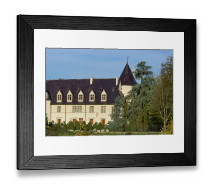 Framed Print : 03. France, Rhone River, chateau near Vienne