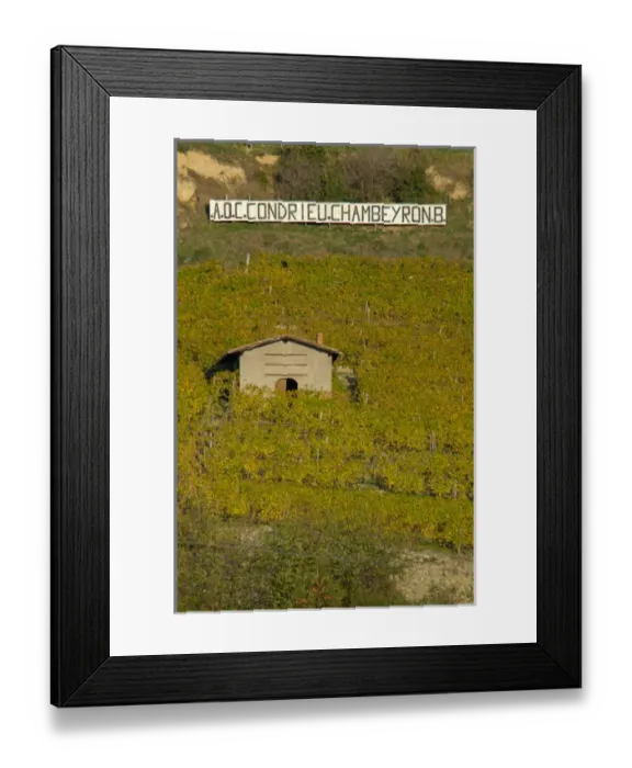 Framed Print : 03. France, Rhone-Alps, Condrieu, stucco building among hillside vineyards Framed Print : 03. France, Rhone-Alps, Condrieu, stucco building among hillside vineyards