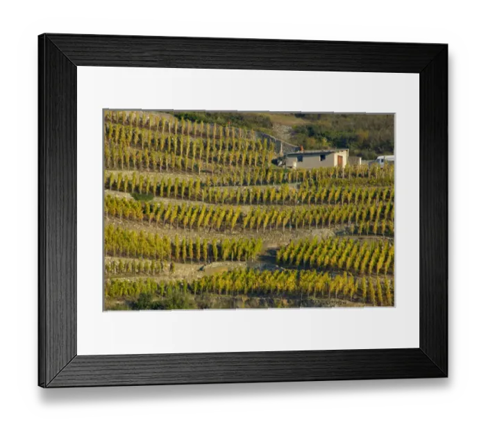 Framed Print : 03. France, Rhone-Alps, Condrieu, stucco building among hillside vineyards