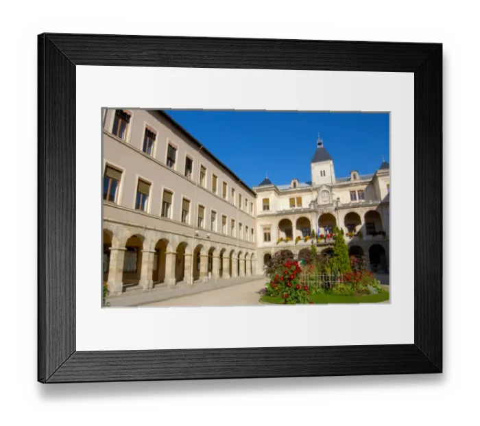 Framed Print : 03. France, Vienne, flowers in front of City Hall