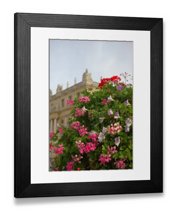 Framed Print : 03. France, Versailles, back view from gardens Framed Print : 03. France, Versailles, back view from gardens
