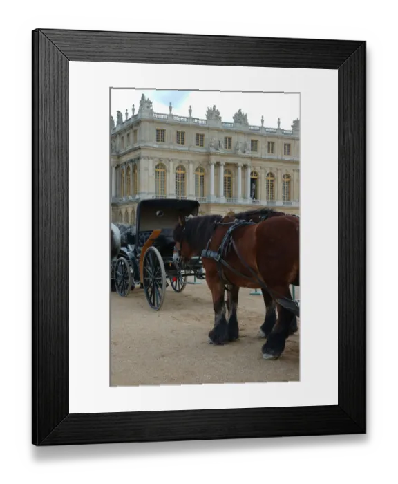 Framed Print : 03. France, Versailles, horse and carriage Framed Print : 03. France, Versailles, horse and carriage