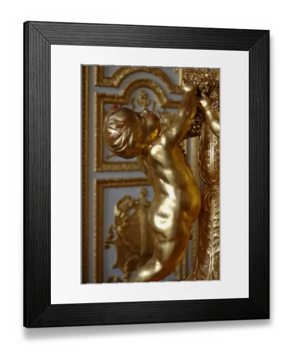 Framed Print : 03. France, Versailles, Kings State Apartment, The Venus Drawing Room