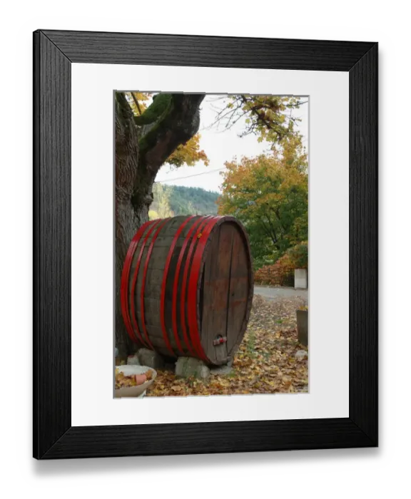 Framed Print : 03. France, Ardeche, Colmbier-le-Vieux / St Framed Print : 03. France, Ardeche, Colmbier-le-Vieux / St