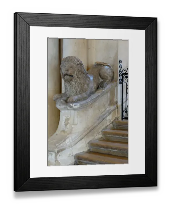 Framed Print : 03. France, Arles, Provence, lion statue inside city hall