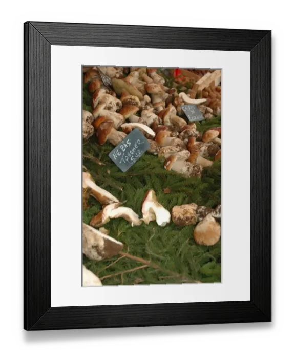 Framed Print : 03. France, Arles, Provence, mushrooms at outdoor market