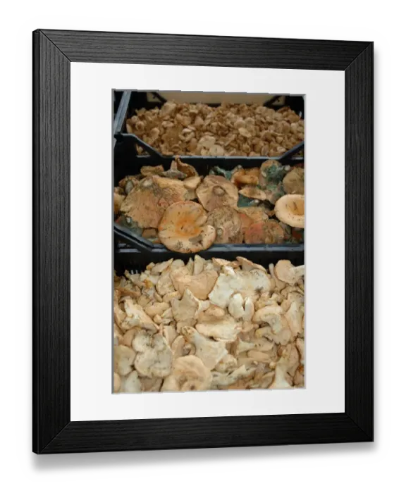 Framed Print : 03. France, Arles, Provence, mushrooms at outdoor market