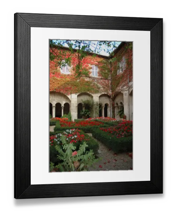 Framed Print : 03. France, St. Remy de Provence, cloisters at St.-Paul-de-Mausole monastery Framed Print : 03. France, St. Remy de Provence, cloisters at St.-Paul-de-Mausole monastery