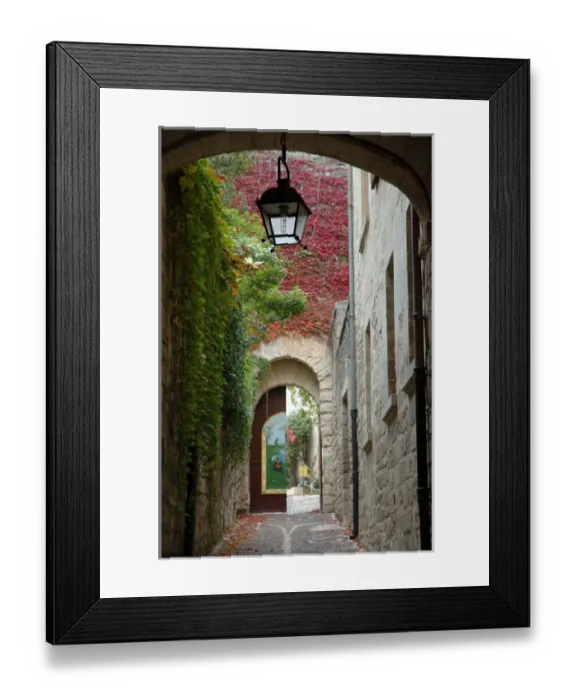 Framed Print : 03. France, Languedoc-Roussillon, Uzes, alley to garden Framed Print : 03. France, Languedoc-Roussillon, Uzes, alley to garden