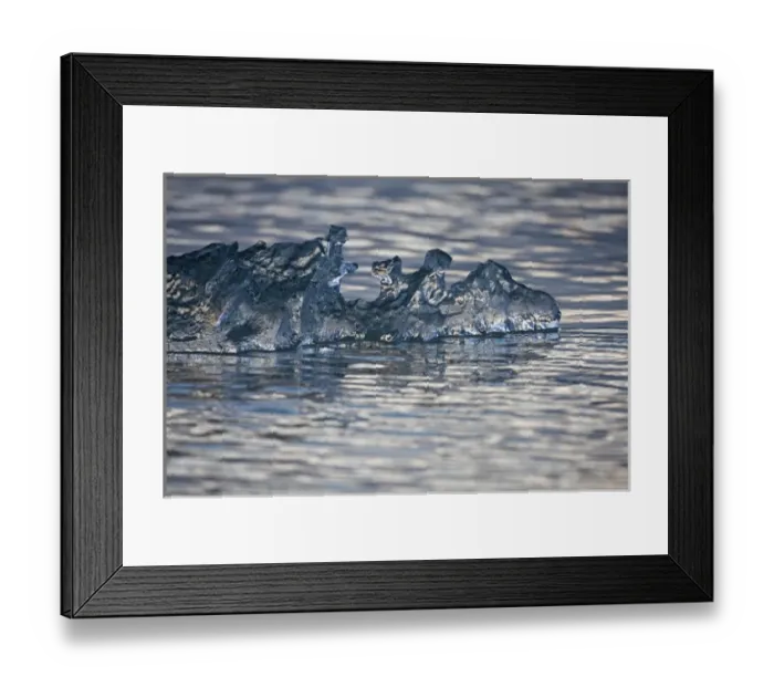 Framed Print : Norway, Svalbard, Spitsbergen Island, Small clear iceberg floating near face of Sveabreen Framed Print : Norway, Svalbard, Spitsbergen Island, Small clear iceberg floating near face of Sveabreen
