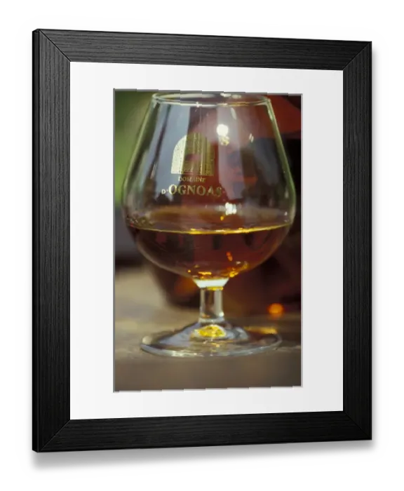 Framed Print : Europe, France, Aquitania, Armagnac. Armagnac is made from white grapes grown in
