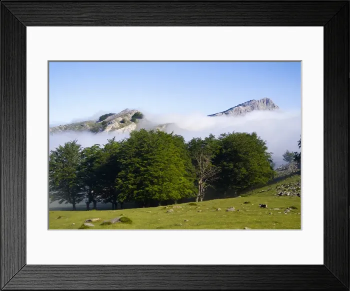 Framed Print : Gorbea Natural Park. Lekanda mount between the fog. Biscay province. Basque Country Framed Print : Gorbea Natural Park. Lekanda mount between the fog. Biscay province. Basque Country