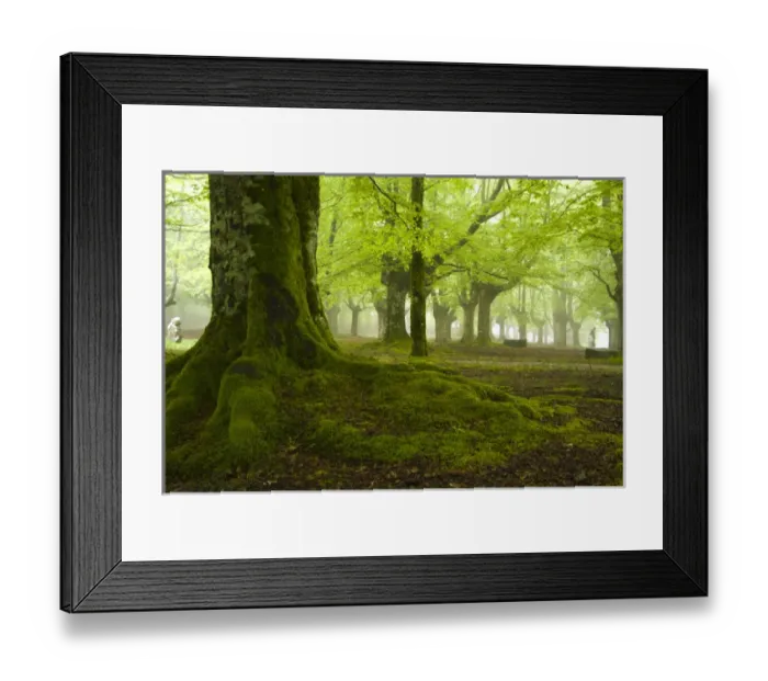Framed Print : Urkiola Natural Park. Beech forest. Biscay province. Basque Country. Spain Framed Print : Urkiola Natural Park. Beech forest. Biscay province. Basque Country. Spain