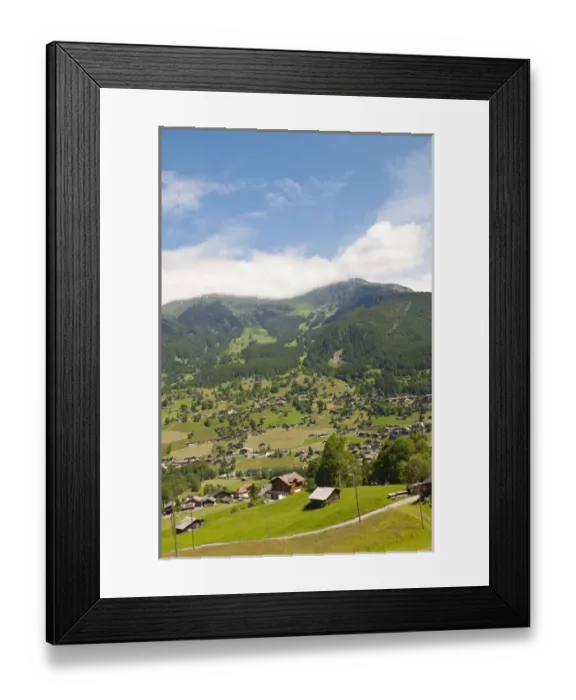 Framed Print : Jungfrau Region, Switzerland. Alpine pasture enar Grindelwald Valley below Eiger Framed Print : Jungfrau Region, Switzerland. Alpine pasture enar Grindelwald Valley below Eiger