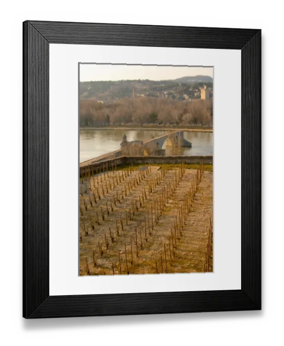 Framed Print : The Pont Saint St Benezet bridge in Avignon on the Rhone river and a vineyard seen Framed Print : The Pont Saint St Benezet bridge in Avignon on the Rhone river and a vineyard seen