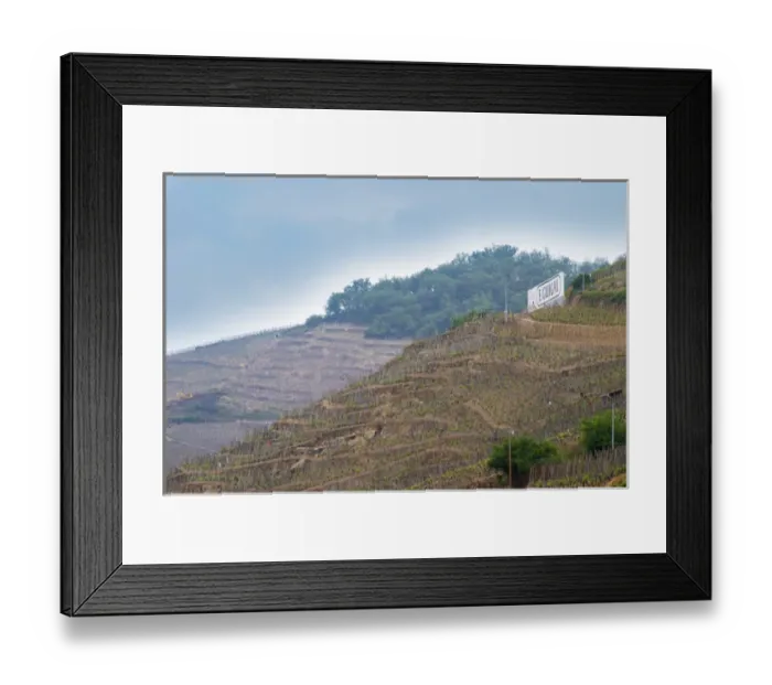 Framed Print : Terraced vineyards in the Cote Rotie district around Ampuis in northern Rhone planted Framed Print : Terraced vineyards in the Cote Rotie district around Ampuis in northern Rhone planted