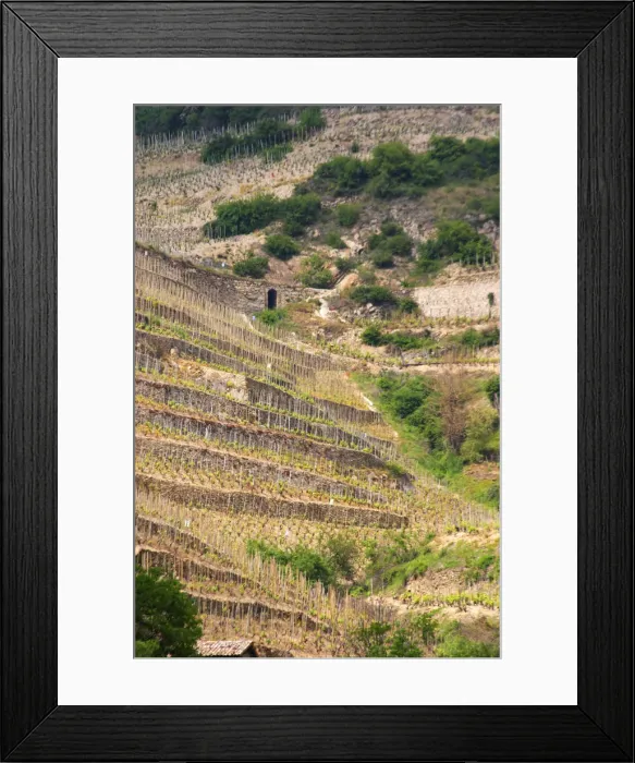 Framed Print : Steep slopes leading up to the chapel. The Hermitage vineyards on the hill behind Framed Print : Steep slopes leading up to the chapel. The Hermitage vineyards on the hill behind