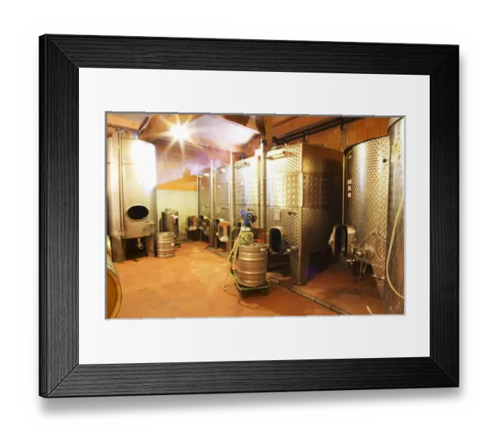 Framed Print : Cave P et Andre Perret in Chavannay, making Condrieu, Saint Joseph, Cote Rotie. In the winery