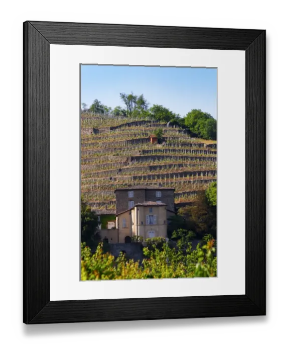 Framed Print : The Chateau Grillet, that has its own appellation close to Condrieu with its vineyard behind