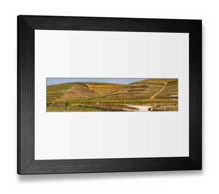Framed Print : A view over the Crozes-Hermitage vineyards in the part of the appellation closes to Hermitage