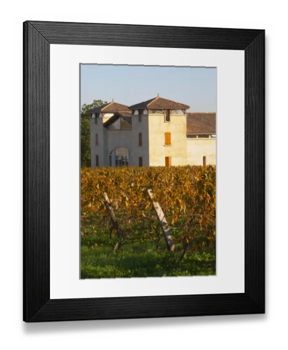 Framed Print : The newly constructed winery building seen over the green yellow golden vineyard