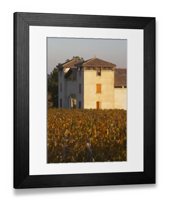 Framed Print : The newly constructed winery building seen over the green yellow golden vineyard Framed Print : The newly constructed winery building seen over the green yellow golden vineyard