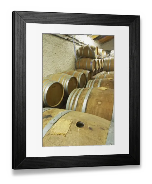 Framed Print : Oak barrique barrels with fermenting white wine, bung hole covered with jute Chateau Framed Print : Oak barrique barrels with fermenting white wine, bung hole covered with jute Chateau