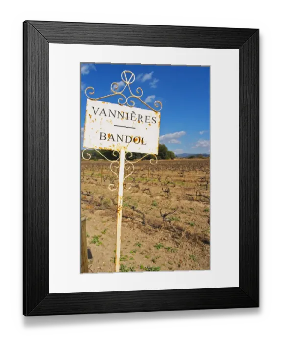 Framed Print : View over the vineyard in spring, sign with text Vannieres and Bandol Grape variety Cinsault Framed Print : View over the vineyard in spring, sign with text Vannieres and Bandol Grape variety Cinsault