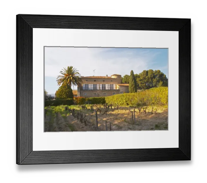 Framed Print : View over the vineyard in spring, vines in Cordon Royat training the main building Framed Print : View over the vineyard in spring, vines in Cordon Royat training the main building