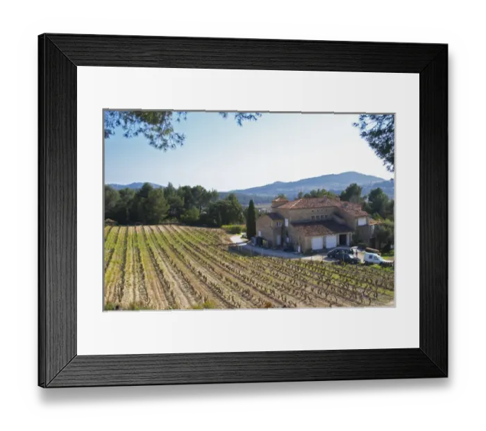Framed Print : View over the vineyard in spring, vines in Cordon Royat training, the main bulding Framed Print : View over the vineyard in spring, vines in Cordon Royat training, the main bulding