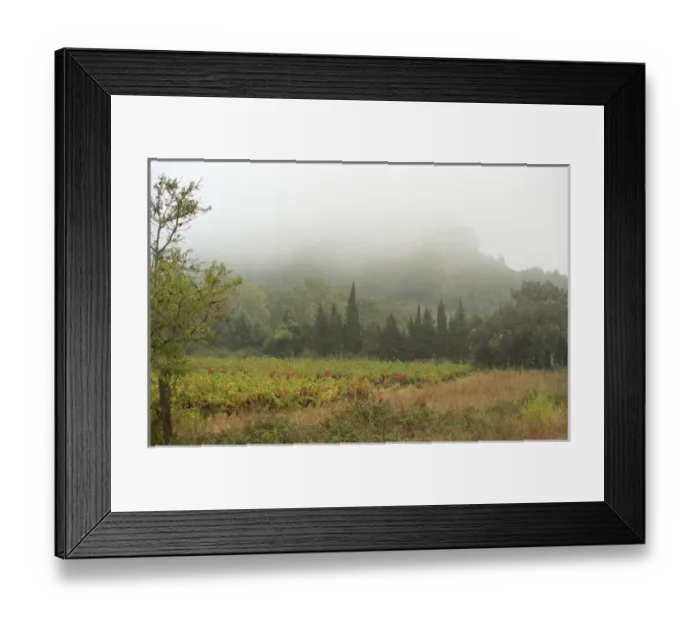 Framed Print : A view over the vineyard and the La Clape mountain in fog, at harvest time Domaine Pech-Redon Framed Print : A view over the vineyard and the La Clape mountain in fog, at harvest time Domaine Pech-Redon