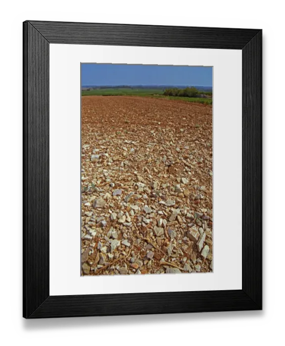 Framed Print : One kind of soil in Puligny Montrachet (vineyard being replanted), Bourgogne Framed Print : One kind of soil in Puligny Montrachet (vineyard being replanted), Bourgogne