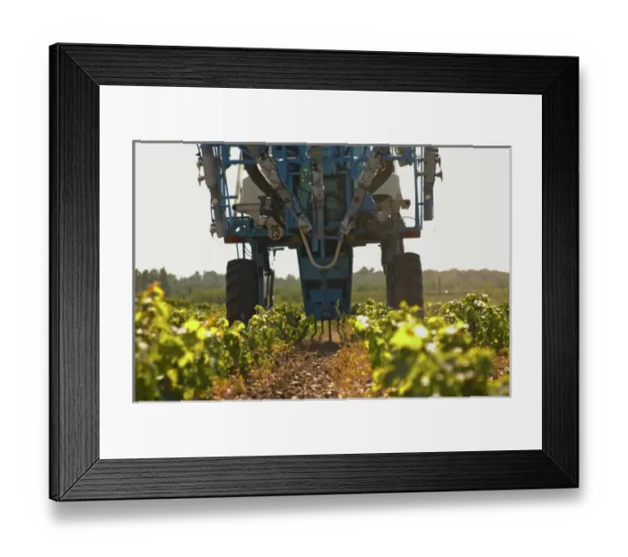 Framed Print : A vineyard tractor equipped with claws to work the soil and remove weed - Chateau Belgrave