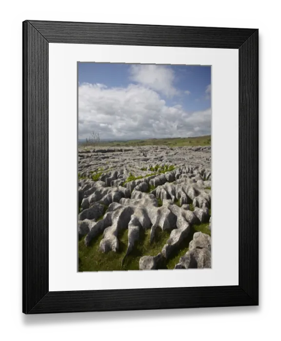 Framed Print : Limestone Pavement, Malham Cove, near Malham Village, Yorkshire Dales National Park Framed Print : Limestone Pavement, Malham Cove, near Malham Village, Yorkshire Dales National Park