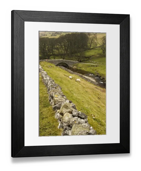 Framed Print : Europe, England, Yorkshire, stone bridge in Yorkshire Dales Framed Print : Europe, England, Yorkshire, stone bridge in Yorkshire Dales