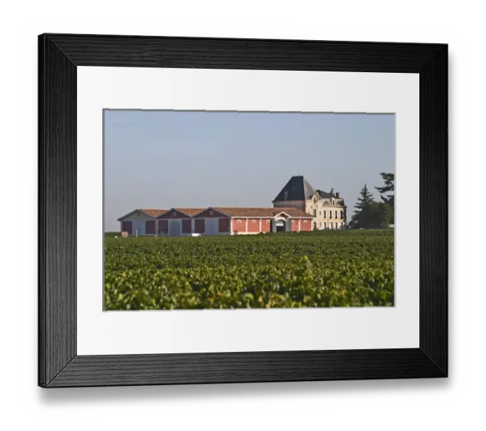 Framed Print : Chateau Evangile with vineyard and winery in Pomerol, Bordeaux