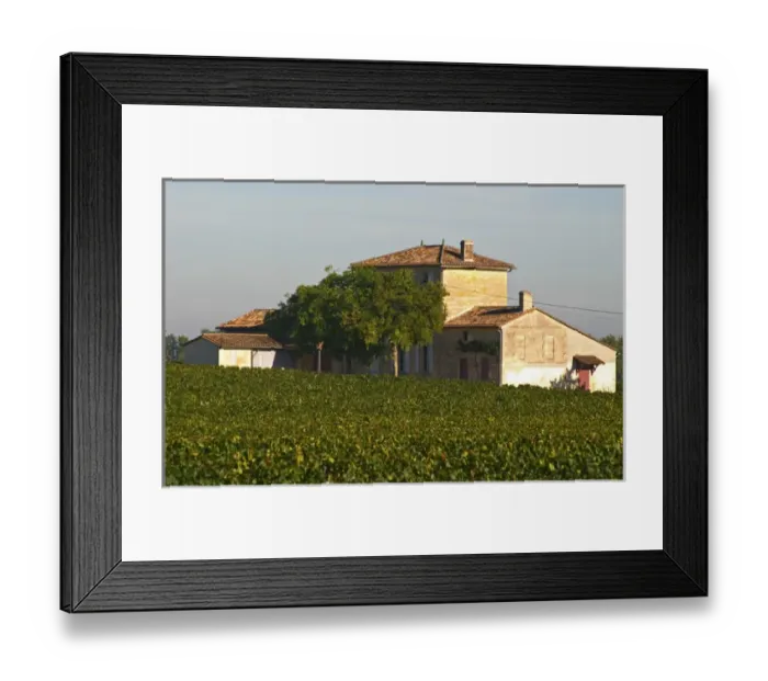 Framed Print : Chateau Lafleur and vineyard, Pomerol, Bordeaux