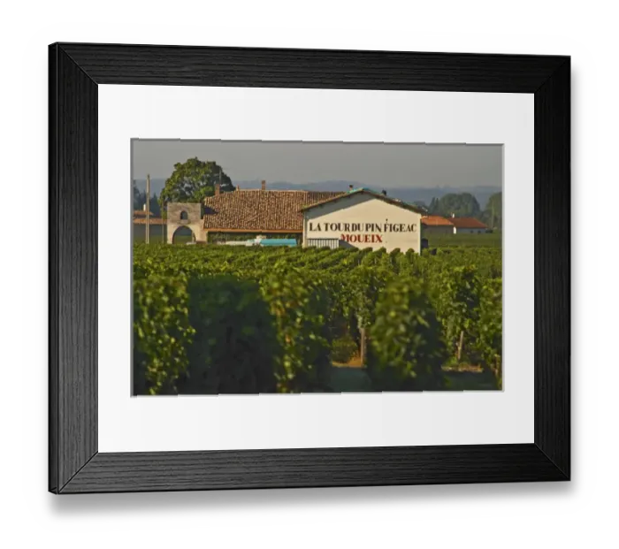 Framed Print : Vineyard and Chateau Latour du Pin Figeac (Moueix), as it is called, in Saint Emilion