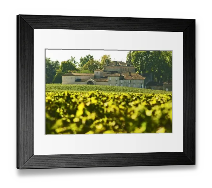 Framed Print : The back side of Chateau Figeac in Saint Emilion, Bordeaux with vineyard in the foreground Framed Print : The back side of Chateau Figeac in Saint Emilion, Bordeaux with vineyard in the foreground