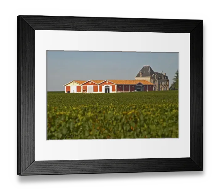 Framed Print : The winery and chateau at Chateau Evangile Saint Emilion