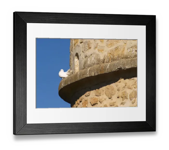 Framed Print : A white dove standing on a ledge of an old stone dovecote dove house against a clear Framed Print : A white dove standing on a ledge of an old stone dovecote dove house against a clear
