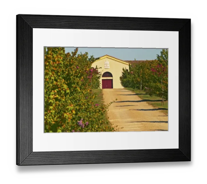 Framed Print : Vineyards, petit verdot vines and the winery in the distance - Chateau de la Tour