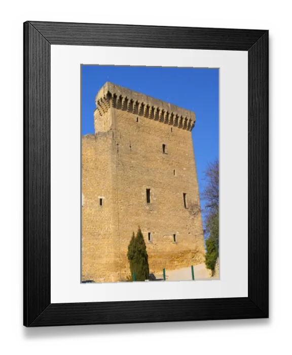 Framed Print : The ruins of the Popes summer castle in Chateauneuf-du-Pape, Vaucluse, Rhone Framed Print : The ruins of the Popes summer castle in Chateauneuf-du-Pape, Vaucluse, Rhone