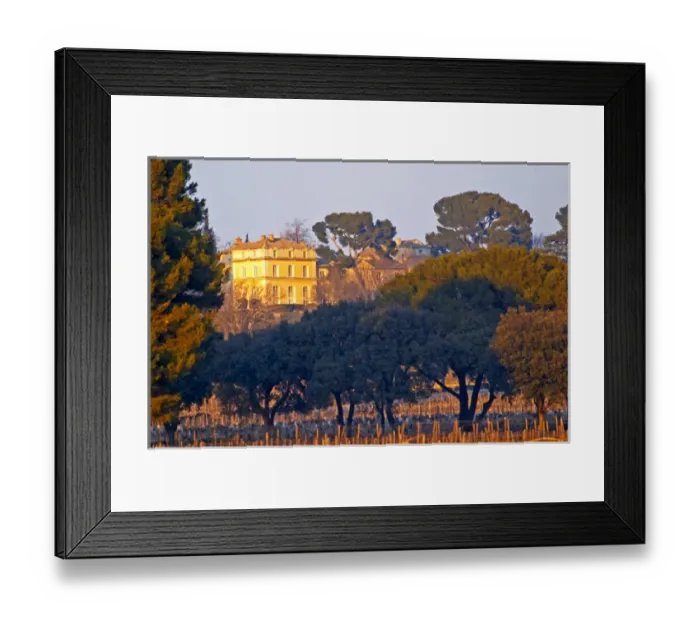 Framed Print : The vineyard and building of Chateau la Nerthe owned by Cafe Richard in Chateauneuf-du-Pape Framed Print : The vineyard and building of Chateau la Nerthe owned by Cafe Richard in Chateauneuf-du-Pape