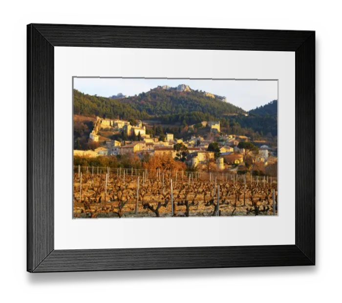 Framed Print : A vineyard with syrah vines at sunset and the village Gigondas, Vaucluse, Rhone, Provence