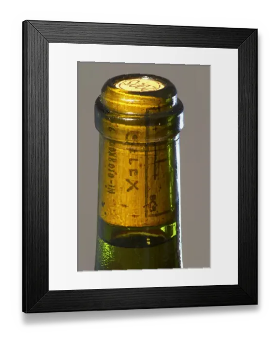 Framed Print : A bottle of Pouilly Fume Silex the label showing a stone of flint, by Didier Dagueneau