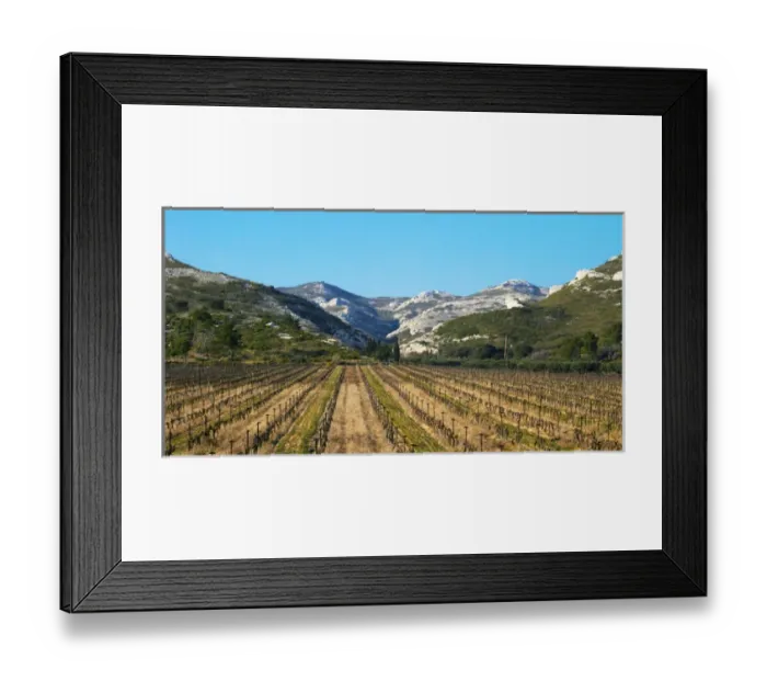 Framed Print : A vineyard and the mountain Les Alpilles at Les Baux de Provence, Bouche du Rhone, France Framed Print : A vineyard and the mountain Les Alpilles at Les Baux de Provence, Bouche du Rhone, France