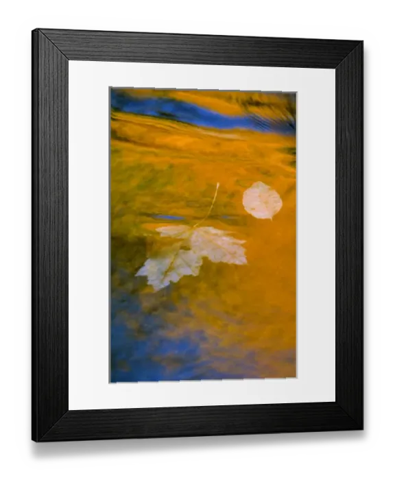 Framed Print : Fall reflections in water. Credit as: Nancy Rotenberg / Jaynes Gallery / DanitaDelimont Framed Print : Fall reflections in water. Credit as: Nancy Rotenberg / Jaynes Gallery / DanitaDelimont