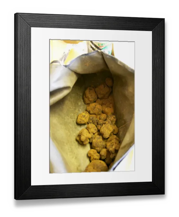Framed Print : The mornings truffle harvest at La Truffe de Ventoux truffle farm, Vaucluse Framed Print : The mornings truffle harvest at La Truffe de Ventoux truffle farm, Vaucluse