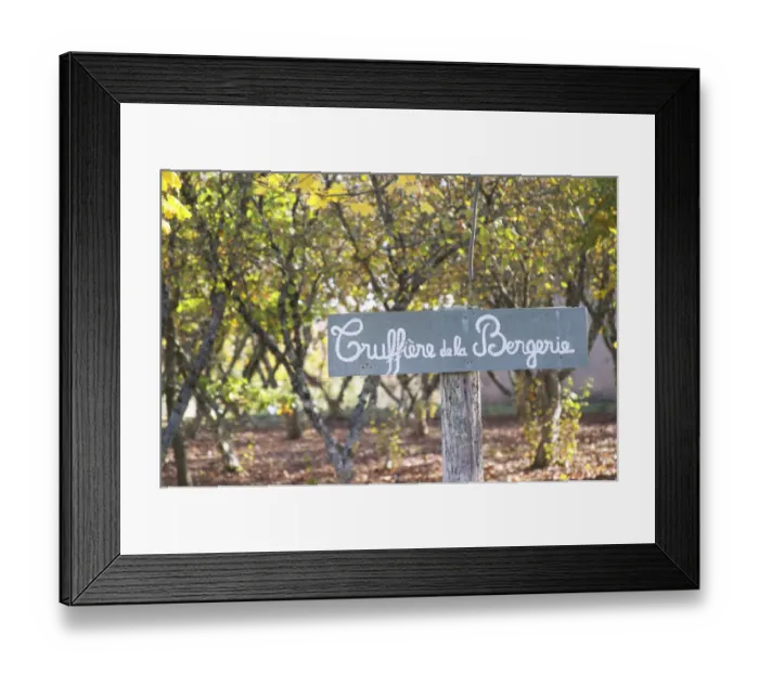 Framed Print : Sign at the entrance Truffiere de la Bergerie (Truffiere) truffles farm Ste Foy de